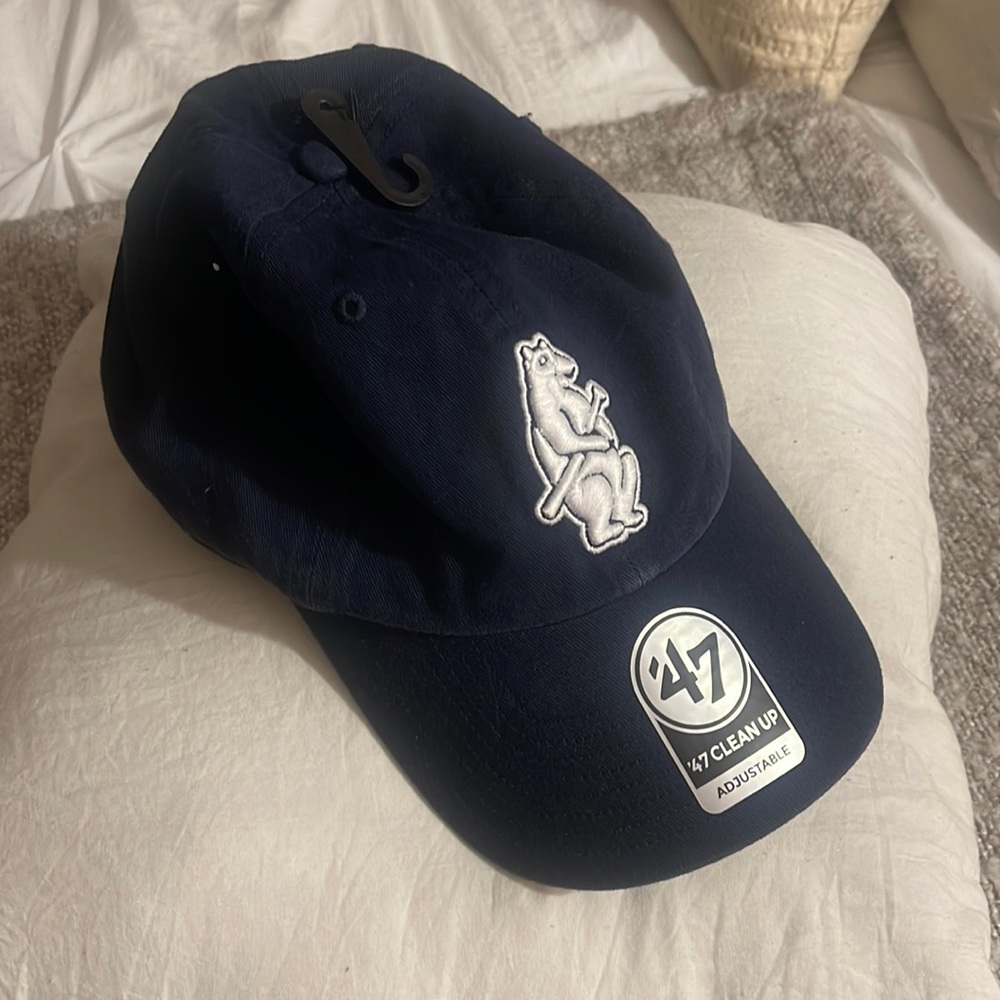 Chicago Cubs Hat - brand new!